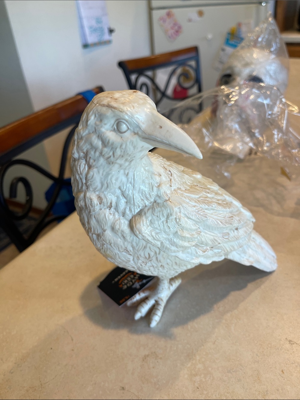 Plastic Raven